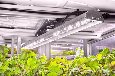 Vertical Farming Das Ernährungs­system Der Zukunft Lgt