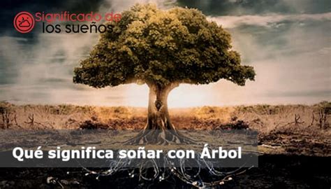 Qué significa soñar con árbol 2024 25 Significados