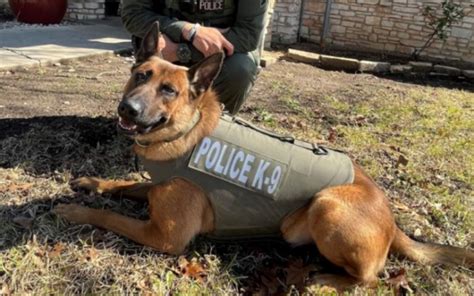 Windcrest Pd K9 Gets Donation Of Body Armor Ktsa