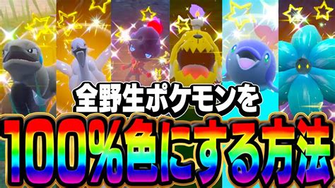 ぜんぶのいろちがいポケモンの検索結果 Yahoo きっず検索