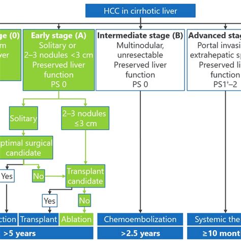 1 The Adapted Barcelona Clinic Liver Cancer Bclc Staging And Download Scientific Diagram