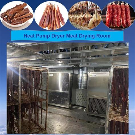 Best Mango Dry Equipment Fruit Drying Machine Vegetable Dryer Room Beef