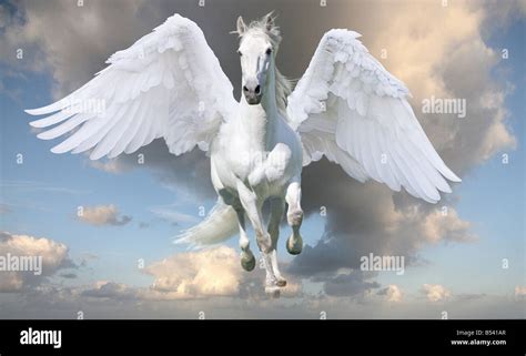 Pegasus in gallop with wings spread Stock Photo - Alamy