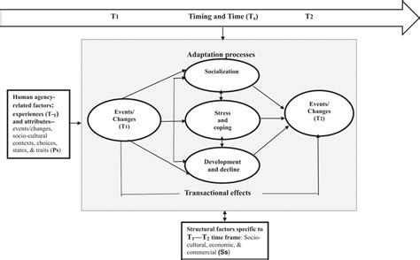 conceptual life  model  scientific diagram
