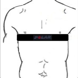 Schematic of polar H10 chest strap placement | Download Scientific Diagram