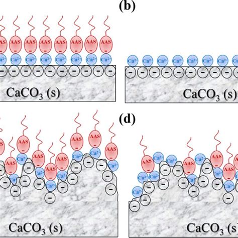 Schematic Illustration Of Aas Adsorption On A Smooth Commercial Caco