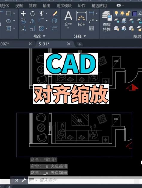 在cad中如何对齐缩放，如何缩放对象到想要的位置 Cad自学教程 度小视