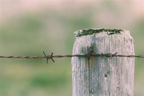 Fence Line The Typical Wood Post And Barbed Wire Barrier Photograph By