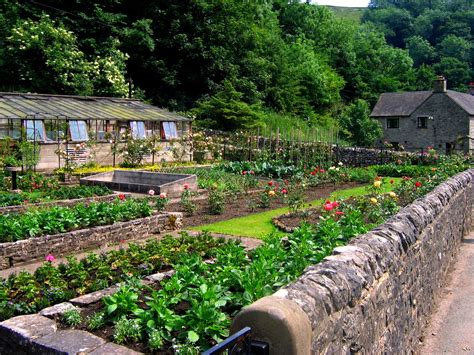 black    vegetable garden  ugardener large