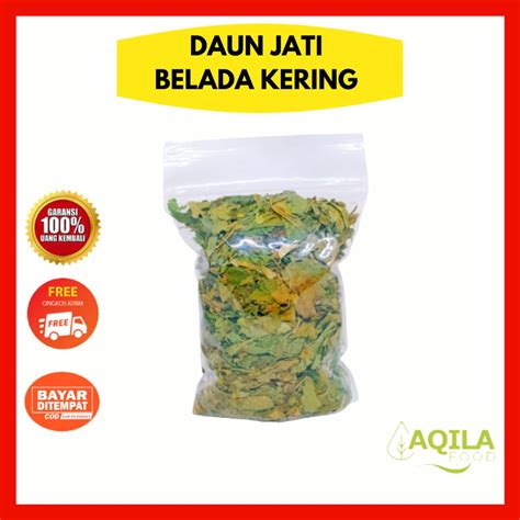 Jual Daun Jati Belanda Kering Shopee Indonesia