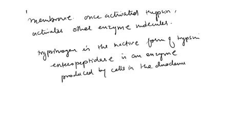 SOLVED: Draw a labeled diagram showing the process of trypsin ...