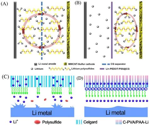 Schematic Configuration Of Li S Cells With A Cg Separator In Which