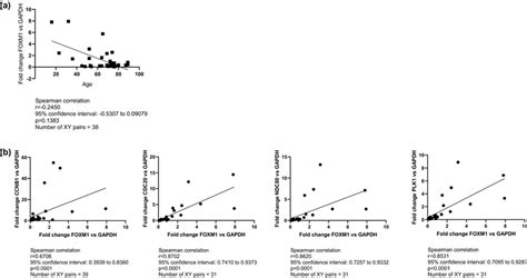 Correlation Analysis Of Foxm Expression In Msc From Patients With