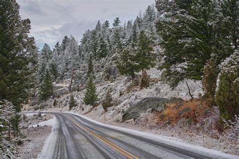 Yellowstone Snow Photograph by Paul Freidlund - Fine Art America