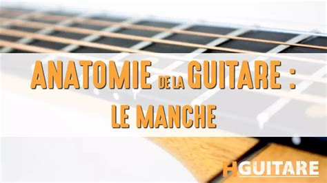 Comprendre Le Manche De Sa Guitare Hguitare