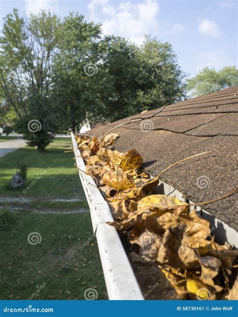 Leaves In Gutter Stock Image Image Of Exterior Gloves 58730161