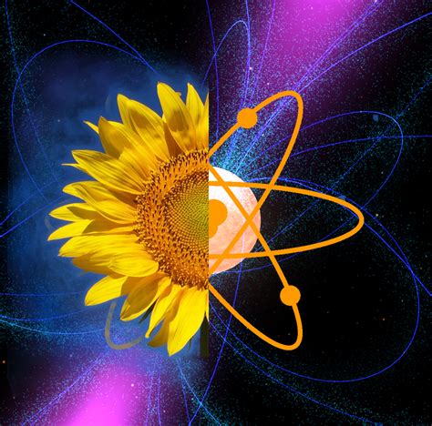 Exploring the Quantum World: From Plants to Pulsars - Science in the News