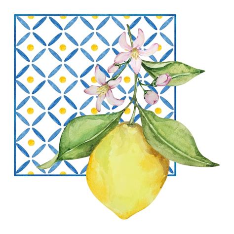 Premium Vector Watercolor Composition Juicy Lemon Flowers And Italian