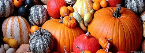 fall pumpkin facebook cover photos - Danette Ziegler