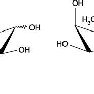 Structures of fucose (a) l-fucose and (b) d-fucose. | Download ...