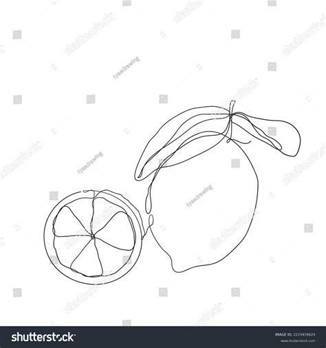 Continuous Line Drawing Orange Citrus Illustration Stock Vector