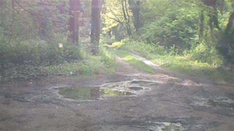 Aurelia Slut In Wood Road Free Shemale Shemalle Porn D XHamster