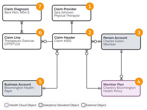 Health Insurance and Claims Data Model | Salesforce Trailhead