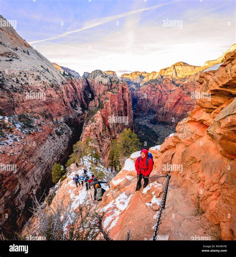 Young woman hikes on the via ferrata descending from Angels Landing ...