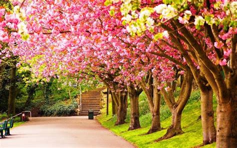 Season Spring Desktop Background HD. | Spring wallpaper, Nature ...