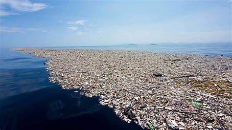 Ilha De Pl Stico No Oceano Abriga Ecossistema In Dito Olhar Digital