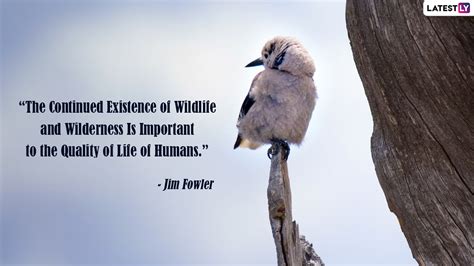 World Wildlife Day 2022 Quotes, HD Images & Slogans: Send WhatsApp ...