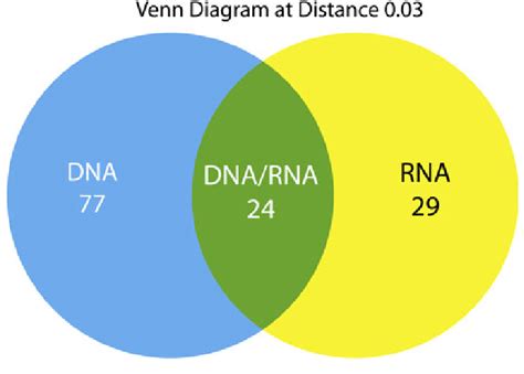 Dna Vs Rna Venn Diagram