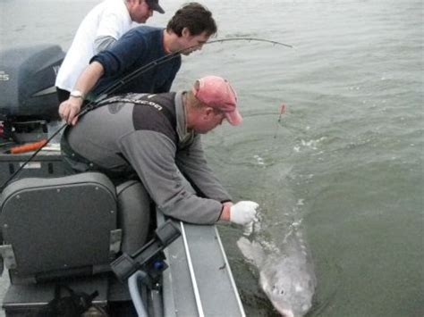 Top 5 Sturgeon Fishing Tips - Total Fisherman