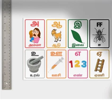 Tamil Letters Flash Cards At Rs 15piece Flash Cards In Coimbatore Id 25382461191