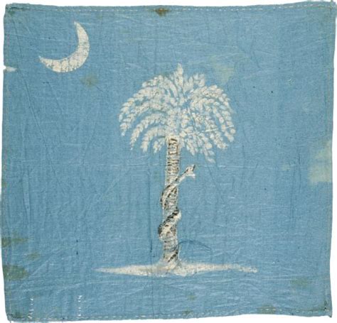 South Carolina battle flag dating back to the civil war featuring a ...