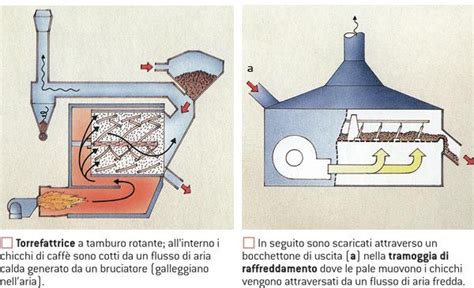 C2 1 Produzione e lavorazione del caffè Chicchi di caffè Caffè Coffe