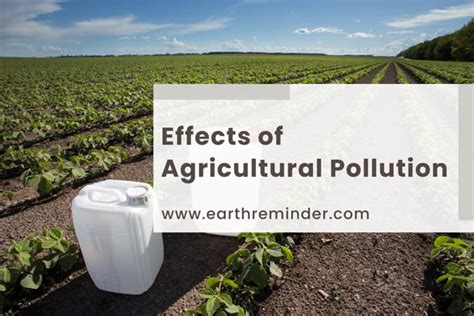 Causes and Effects of Agricultural Pollution | Earth Reminder