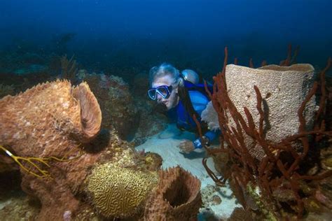 Jean-Michel Cousteau Diving, Caribbean | Ocean Futures Society