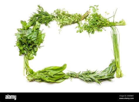 ingredient, green sauce, ingredients Stock Photo - Alamy