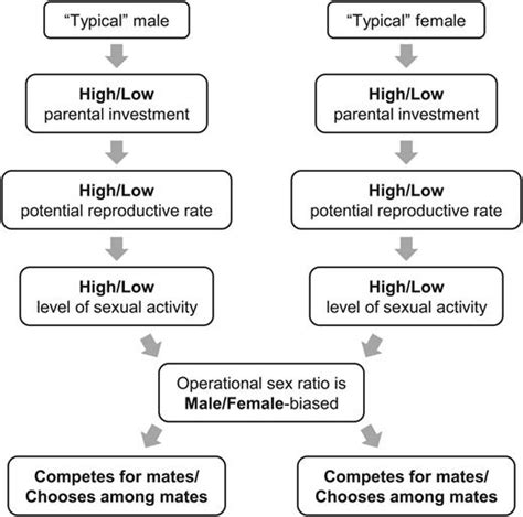 The Mating Game A Classroom Activity For Undergraduates That Explores