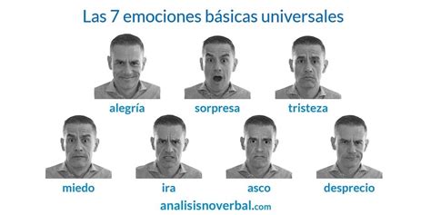 Práctico Filete Porque Cuales Son Las 7 Emociones Basicas Del Ser