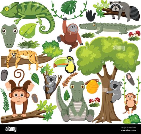 Set of mix animal character illustration Stock Vector Image & Art - Alamy