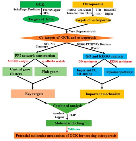 IJMS Free Full Text Biochemical Targets And Molecular Mechanism Of