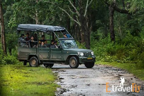 Coorg Wildlife Sanctuary Sightseeing Tour Packages - Etravelfly