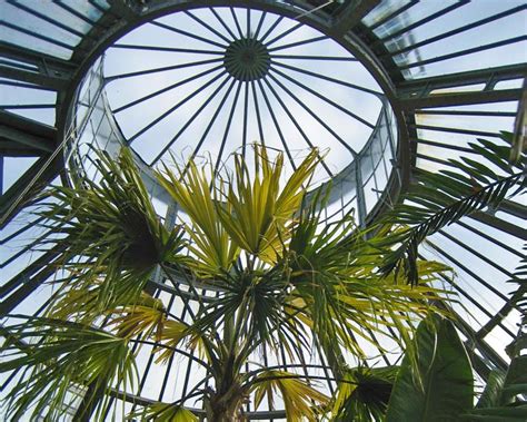 De Hortus Botanicus Amsterdam Gardensonline