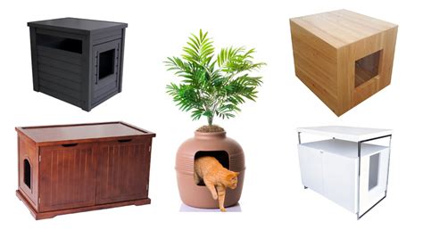 11 Best Cat Litter Box Furniture Enclosures (2020)