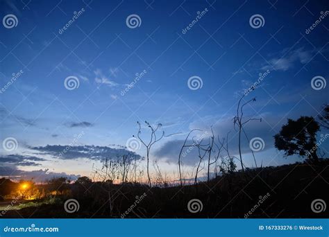 Sunrise Over The Country Scenery Full Of Different Kinds Of Plants