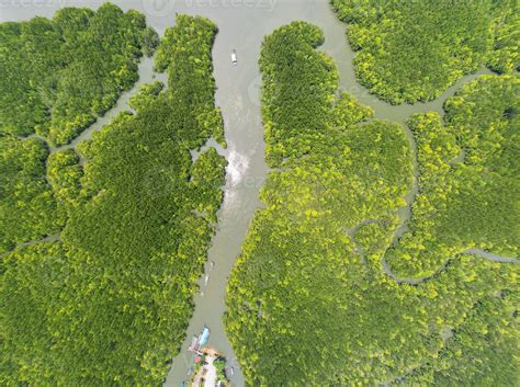 Aerial View Top Down Of Beautiful Mangrove Forest Tree In The Morning