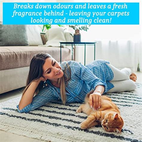 Homefront Pet Carpet Shampoo Deeply Cleans To Remove Dirt Odours And