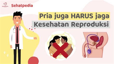 Cara Menjaga Organ Reproduksi Pria Sehatpedia Youtube